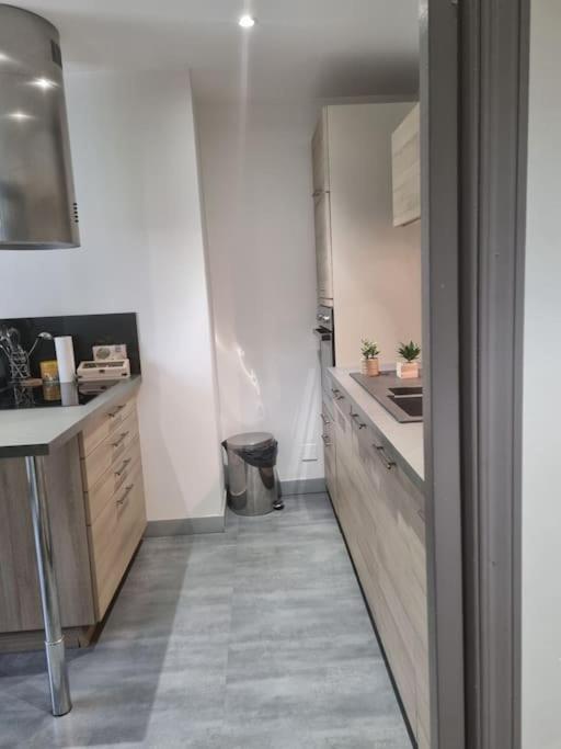 L'Ourse, Epinal,Tres Bel Appartement Quartier Port Eksteriør billede