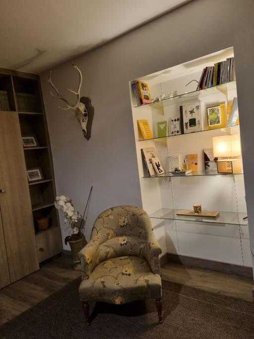 L'Ourse, Epinal,Tres Bel Appartement Quartier Port Eksteriør billede